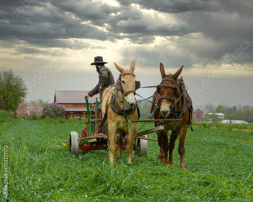 Amish man wearing a traditional hat in a plow being pulled by two horses with dark clouds in the sky.