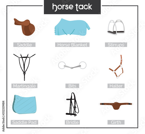 Illustration of horse harness. Horse equipment. Illustration of a horse tack. Ammunition for horses saddle, stirrups, horse blanket, martingale, bits, halter, saddle pad, bridle, girth
