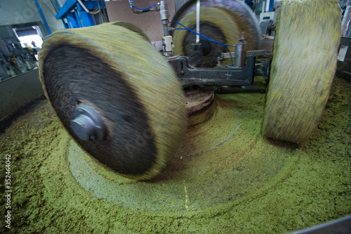 Extraction of organic oil from olives by means of a circular grinding stone in Italy