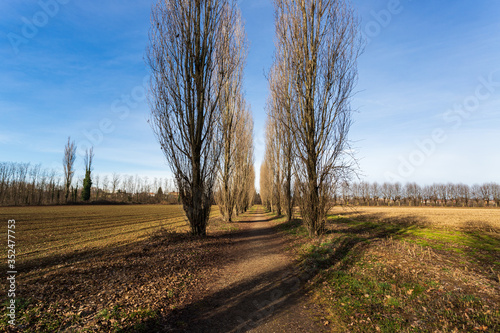 Parco naturale del Lura, Lomazzo