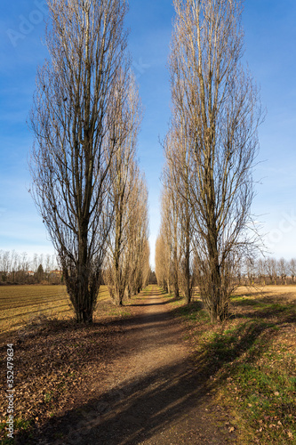 Parco naturale del Lura, Lomazzo