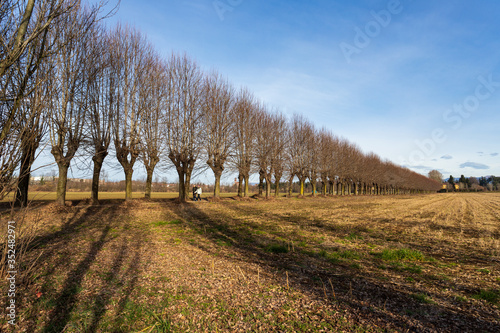 Parco naturale del Lura, Lomazzo