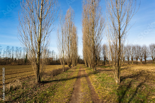 parco naturale del Lura, Lomazzo