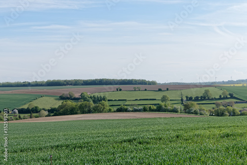 Champs et culture à perte de vue sur les valons de l'Artois, département du Pas-de-Calais - France 