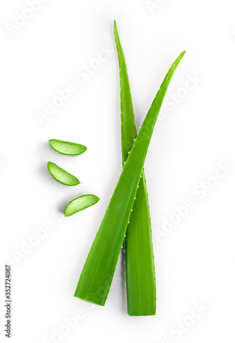 Top view of fresh sliced Aloe Vera leaf isolated on white background