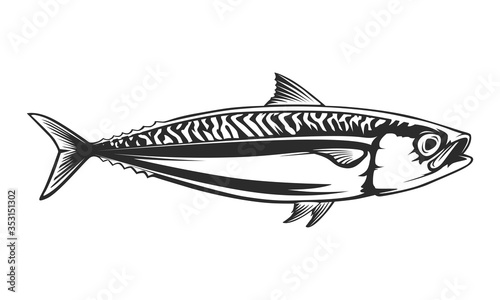 Mackerel fishing logo. Mackerel fish restaurant menu emblem. Fishing theme illustration. Isolated on white.