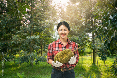 Portrait farmer female wearing gloves harvest holding durian in durians orchard. Asian woman farmer with durian fruit.