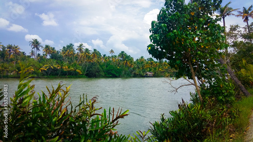 Ashtamudi lake in Kerala filled with green trees on shore. Kerala Backwaters.