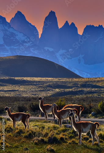 Torres del Paine Mountains, after sunrise.