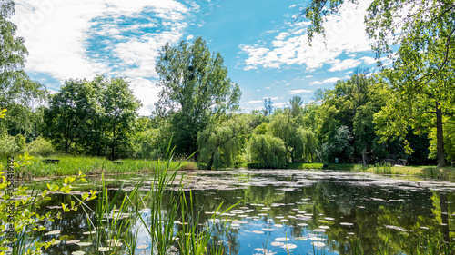 Landscape of the pond in the Zmigrodzki park
