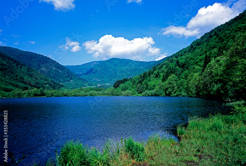 Lac de Sewen dans le parc national du Ballon des vosges au printemps en Alsace en France