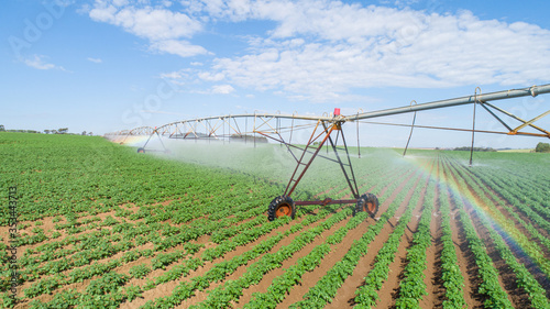 Agricultural irrigation system on sunny summer day. An aerial view of a center pivot sprinkler system.