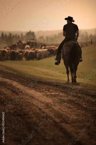 cowboy on cattle drive