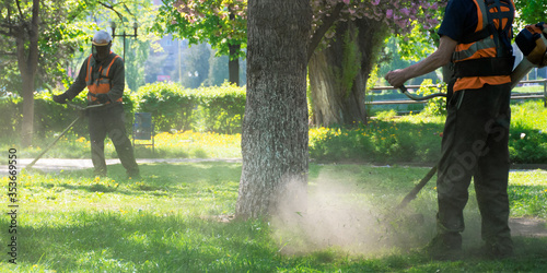 professional garden service at work. lawn care concept. cutting an mowing grass in the park. spring summer season