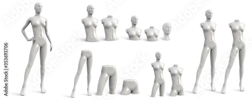 Female mannequin of different parts. White set. Three quarter front view. Vector illustration isolated on white background.