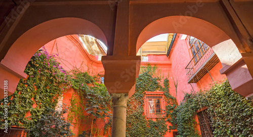  Inner courtyard of a typical Andalusian house in Spain.