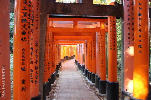 Famous vermilion torii (shinto shrine gates) of Fushimi Inari Taisha, the head shrine of the kami Inari, located in Fushimi-ku, Kyoto, Japan