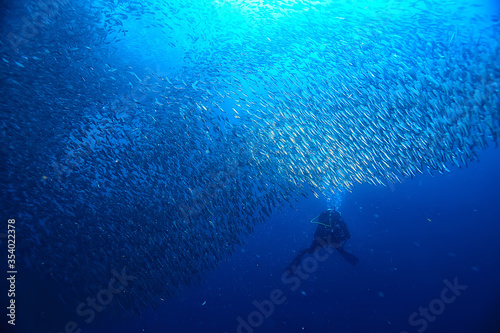 scuba diver and school of fish, fish tornado, underwater view ecosystem man under water