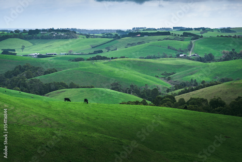 Rolling hills of Victoria Gippsland, Australia