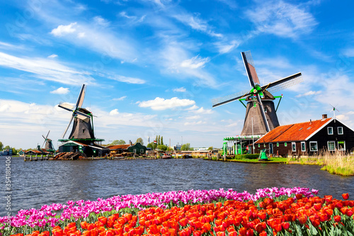 Typical iconic landscape in the Netherlands, Europe. Traditional old dutch windmills with house, blue sky near river with tulips flowers flowerbed in the Zaanse Schans village, Netherlands.