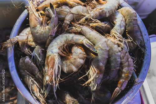 Fresh Gulf Shrimp