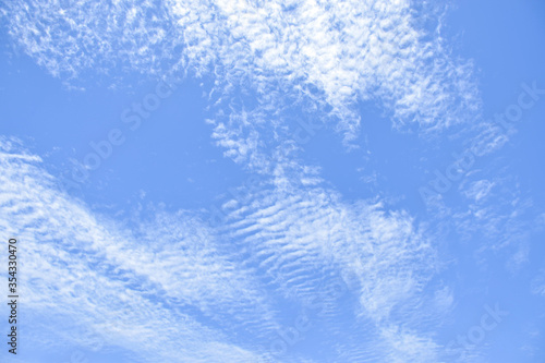 altocumulus clouds like fluff float in the sky.