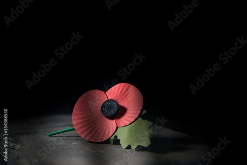 And We Will Remember Them