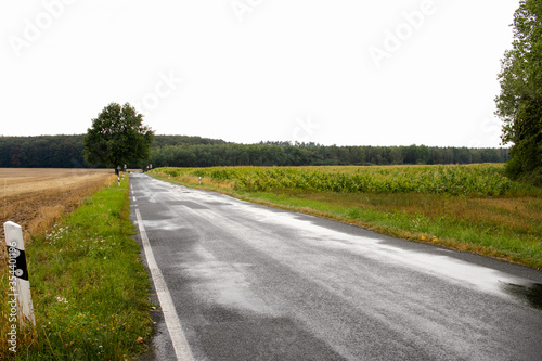 Carretera en día lluvioso con campos a los lado s