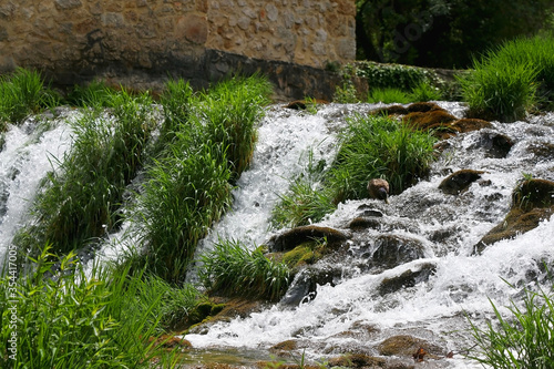 Plants, old traditional water mill and waterfalls on river Krka, in National Park Krka, Croatia. Selective focus.