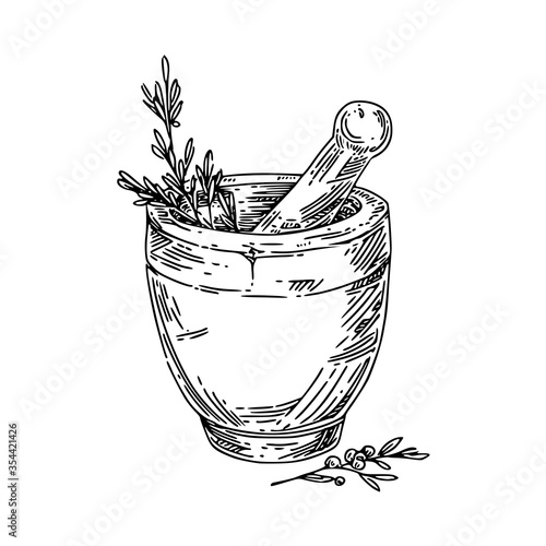 stone mortar with herbs. Sketch. Engraving style. Vector illustration.