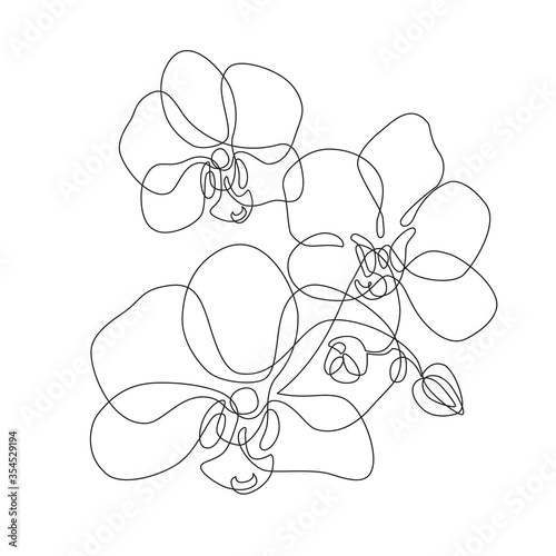 Beautiful orchids line art pattern. Exotic flowers drawing on simple background