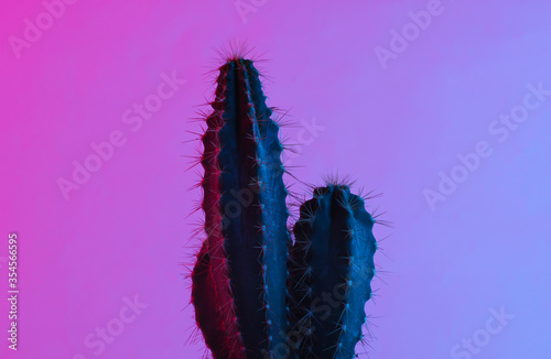 Cactus in trendy neon light. Gradient pink-blue glow. Concept art. Minimalism