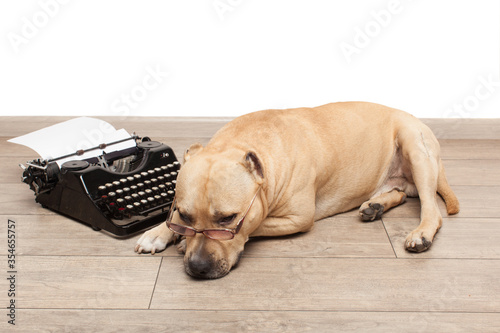 American staff in glasses sitting and waiting muse near typewriter in the room