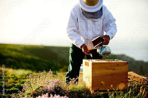 Frames of a bee hive. Beekeeper harvesting honey. The bee smoker is used. Beekeeper checking his bees in bee-house. 