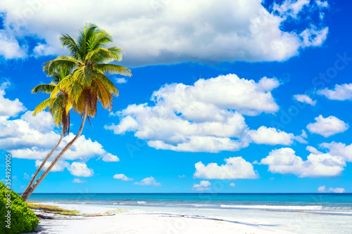 Palm trees on the caribbean tropical beach against blue cloudy sky. Saona Island, Dominican Republic. Vacation travel background