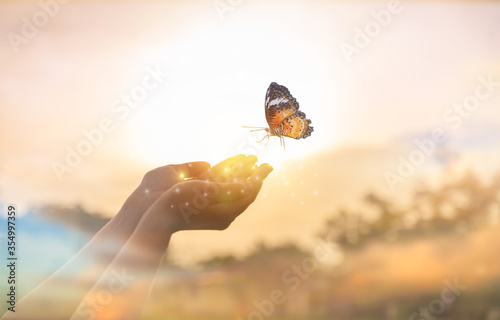 The girl frees the butterfly from moment Concept of freedom