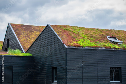 Buildings with a green roof completely covered with vegetation. Extensive green sustainable sedum barn roof with succulent plants. Roof greening with succulents. Skylight in the middle of the roof