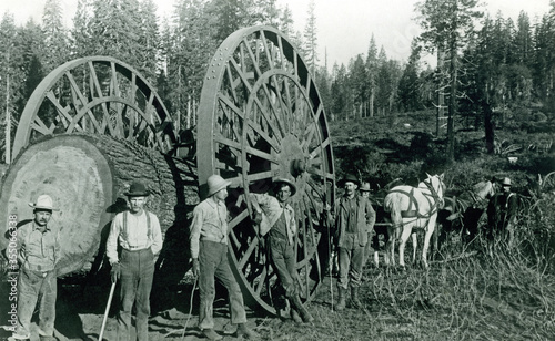 Antique 1895 Logging Occupation California Photo