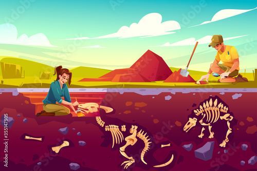 Archaeologists, paleontology scientists working on excavations digging soil layers with shovel and exploring founded artifacts, studying dinosaurs fossil skeletons bones cartoon vector illustration