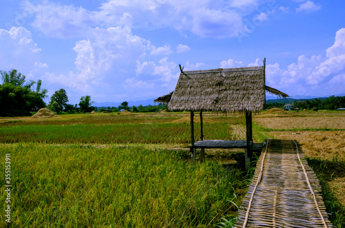 Grass pavilion with bamboo bridge in harvesting ice filed