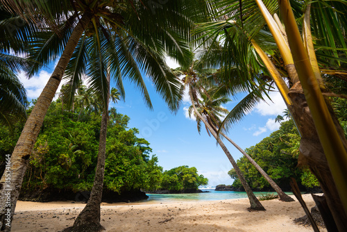 Palm trees and blue sky on a tropical beach in Samoa