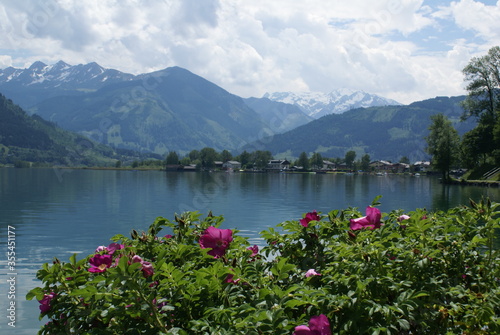 Rose lake - Zell am see 