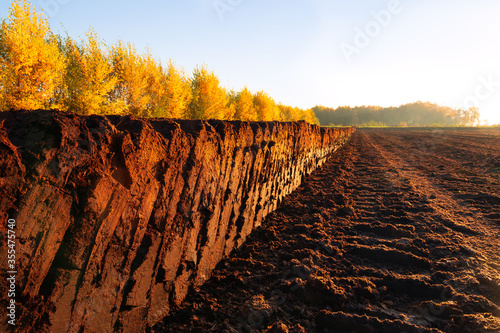 Rows of cutted peat in Northwestern Germany