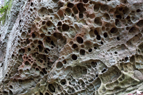 Differential solution of a limestone rock due to the chemical weathering. Berdorf, Luxembourg. Photo is +/- 0.5m across