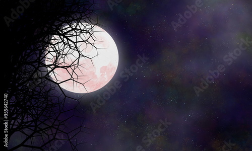 Night sky scene in full Moon night
