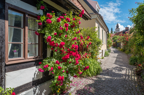 Picturesque medieval alley Fiskargränd is a popular tourist attraction in Visby on Swedens’ largest island Gotland.