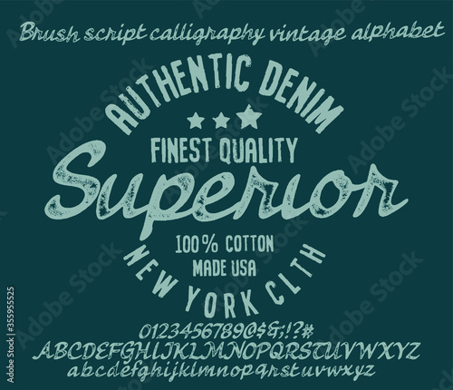 Vintage brush script lettering font. Handwritten calligraphic alphabet for t-shirt or apparel. Textured unique brush in alphabet style.Old school vector graphic for fashion and printing.