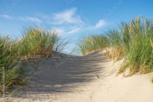 Beach with sand dunes and marram grass with blue sky and clouds. Skagen Nordstrand, Denmark. Skagerrak, Kattegat.