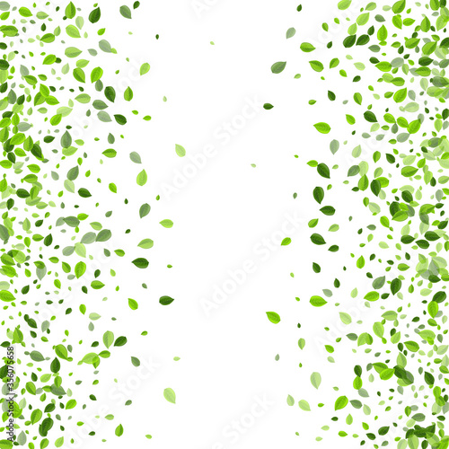 Grassy Leaf Fresh Vector Backdrop. Flying Greens 