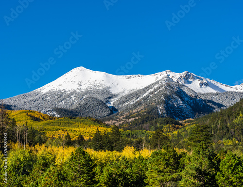 Snow covered mountains above fall foliage